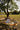 Portable Picnic Mat from maija