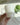 LIVETAI Milk Jade Glass Macaron Cup from maija