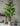 Artificial Spring Feather Plant from maija