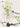 SOREMO Handmade Glass Stirring Stick from SOREMO