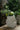 European Villa Garden Flowerpot Decoration from maija
