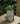 European Villa Garden Flowerpot Decoration from maija