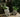 European Villa Garden Flowerpot Decoration from maija