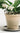 CIIREALS Overnight Toast Ceramic Planter from maija
