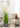 Artificial Reed Grass Plant from maija