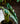 Artificial Salian Calla Lily Plant from maija