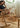 19 DREAM SPACE Scandinavian Woven Baby Rocker from 19 DREAM SPACE