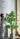 Artificial Spring Feather Plant from maija