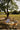 Portable Picnic Mat from maija