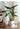 Artificial Salian Calla Lily Plant from maija