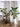 Artificial Salian Calla Lily Plant from maija