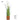 Artificial Reed Grass Plant from maija