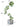 Artificial Golden Banyan Rubber Plant from maija