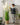Artificial Reed Grass Plant from maija