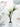 LOU Monkey Head Fern Artificial Plant from LOU