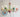 Macaron Chandelier from maija