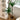 LOU Monkey Head Fern Artificial Plant from LOU