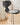 LOWERLEFT Retro Ant Dining Chair from Lower Left