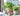 Kadie Botanical Nordic Ceramic Basin from maija