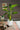 Artificial Salian Calla Lily Plant from maija