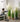 Artificial Reed Grass Plant from maija