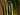 Artificial Salian Calla Lily Plant from maija