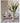 WENSHUO Trompette Vase from maija