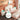 LINSYKIDS Angelica Soft Headrest Children's Bed from LINSY KIDS