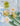 SOREMO Handmade Glass Stirring Stick from SOREMO