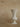 WENSHUO Trompette Vase from maija