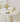 Gianna Dining Table and Chairs from maija