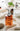 Epius Glass Soap Dispenser from maija