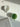 LIVETAI Milk Jade Glass Macaron Cup from maija
