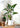 Artificial Salian Calla Lily Plant from maija