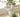 Lula Multilayer Flowerpot Stand from Yeter