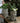 European Villa Garden Flowerpot Decoration from maija