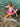 DUJIA Lysandra Colorful Inflatable Penguin Pool Float from DUJIA