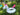 DUJIA Lysandra Colorful Inflatable Penguin Pool Float from DUJIA