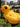 DUJIA Marisol Vibrant Inflatable Pool Set from DUJIA