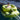 DUJIA Santiago Inflatable Play Ring - Water-Soft Floating Pool Accessory from DUJIA