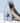 FANGXIONG Yuzuki Versatile Indoor Slide Swing 2-in-1 Set from FANGXIONG