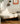 HANKE Sakura Eco-Friendly Folding Sofa Bed from HANKE