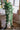 JUHAN Amaya Lush Decorative Vine Climbing Wall Green Plant from JUHAN