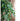 JUHAN Amaya Lush Decorative Vine Climbing Wall Green Plant from JUHAN