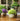 JUHAN Isolde Lush Greenery Decorative Potted Plant from JUHAN