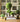 JUHAN Isolde Lush Greenery Decorative Potted Plant from JUHAN