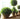 JUHAN Isolde Lush Greenery Decorative Potted Plant from JUHAN