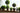 JUHAN Isolde Lush Greenery Decorative Potted Plant from JUHAN
