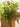 JUHAN Thalassa Ornate Greenery Simulation Plant Arrangement Decor from JUHAN