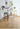 NIYE Elowen Elegant Transparent Acrylic Bar Stool from NIYE